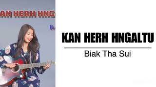 Kan Herh Hngaltu || Biak Tha Sui || KARAOKE