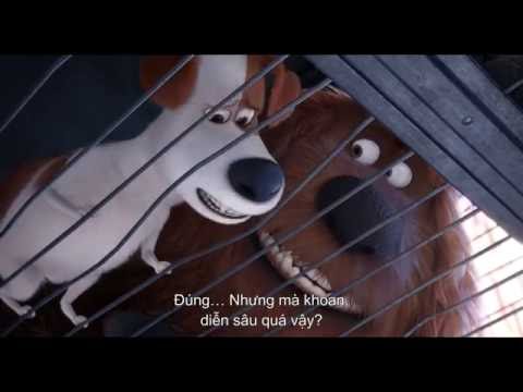 Video ĐẲNG CẤP THÚ CƯNG - Trích đoạn 
