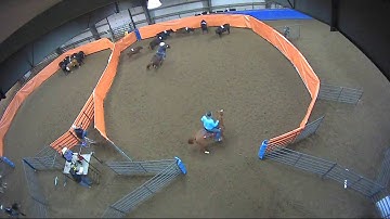 Big Sky Ranch Sorting Saddle Series #2 - #8 Ranch Hand H/C - Round #1 - Ride #10