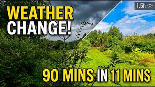 Relaxing Sky & Garden Timelapse | 1.5 Hours in 11 Minutes 🌦️