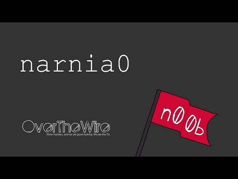 Solving narnia0 from overthewire - video writeup