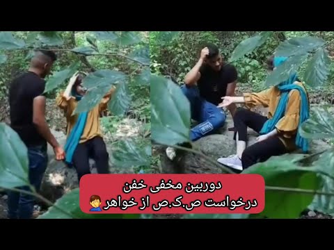 تصویری: عکسهای زیبا (عکس) از حیوانات در پروژه 