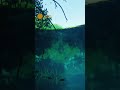 A moment of zen in a cenote in Mexico. Videographer: Mauricio Handler. #shorts