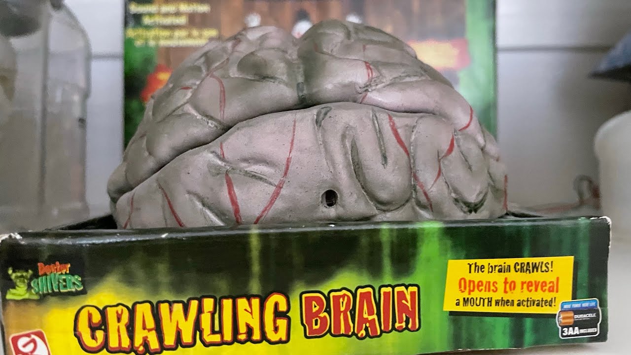Gemmy 2006 Animated Crawling Brain Shivers Laboratory YouTube gemmy-2006-animated-crawling-brain-shivers-laboratory-youtube