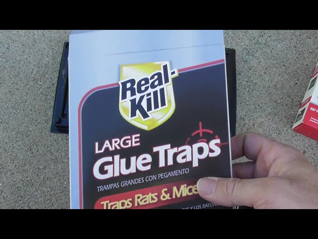 Real-Kill Large Rat and Mice Glue Traps (2-Count) Hg-10096-6 - The