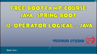 12. Operator Logical in Java