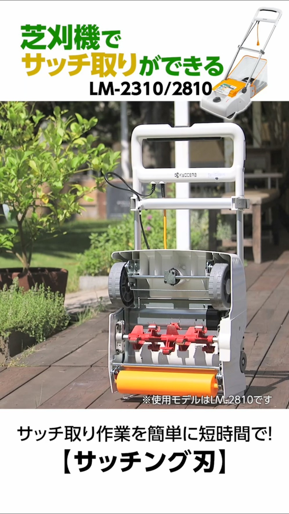 芝生のサッチ取りが楽に、驚くほど簡単に大量のサッチが取れる！ - YouTube