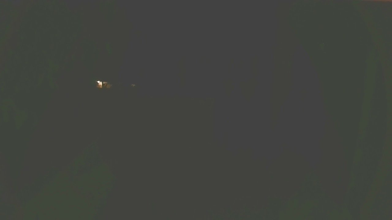 Live Bird Feeder in Asheville North Carolina. Up in the mountains