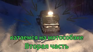 катаемся на мотособаке СЪЕЗДИЛИ ДО ЛЕСА!