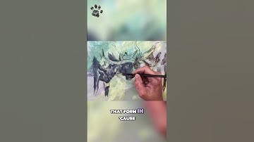 How to Turn a Linear Drawing Into Tonal #shorts