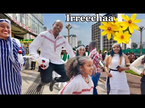 The Biggest Street Celebration In Ethiopia Irreechaa 2025 Vibes