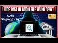 Hide Data in Audio Files: Steganography Tips 🎧