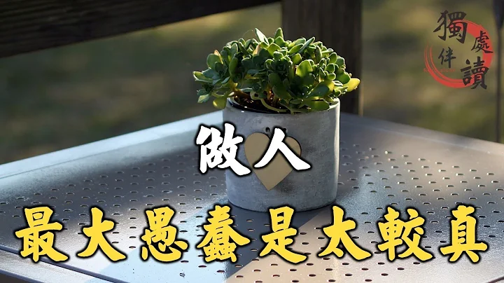 深夜读书：做人，最大的愚蠢是太较真，不乱于心，不困于情，不畏将来，不念过往，才能活得开心【Alone 独处伴读】 - 天天要闻
