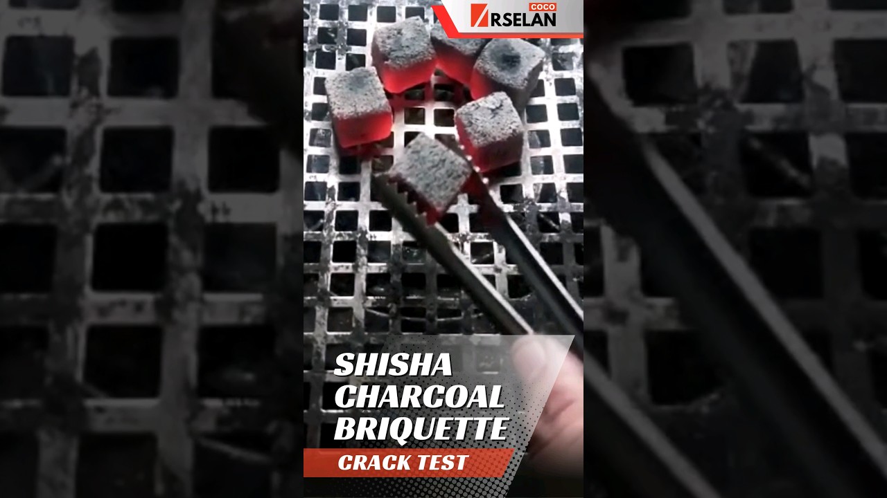 Shisha Charcoal Drop Test: Unbreakable Quality!