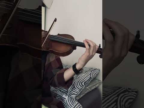 Billie Eilish Wildflower Violin Cover