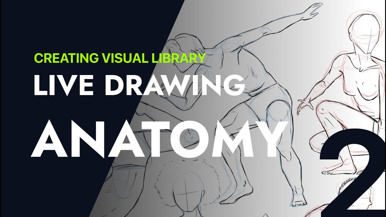 ANATOMY Practice | Creating Visual Library | PL | Music, focus, and a ...
