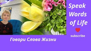 Speak Words of Life❤️Говори Слова Жизни#Jesus #youtube #вера #слова #новинка #молитва #развитие#new