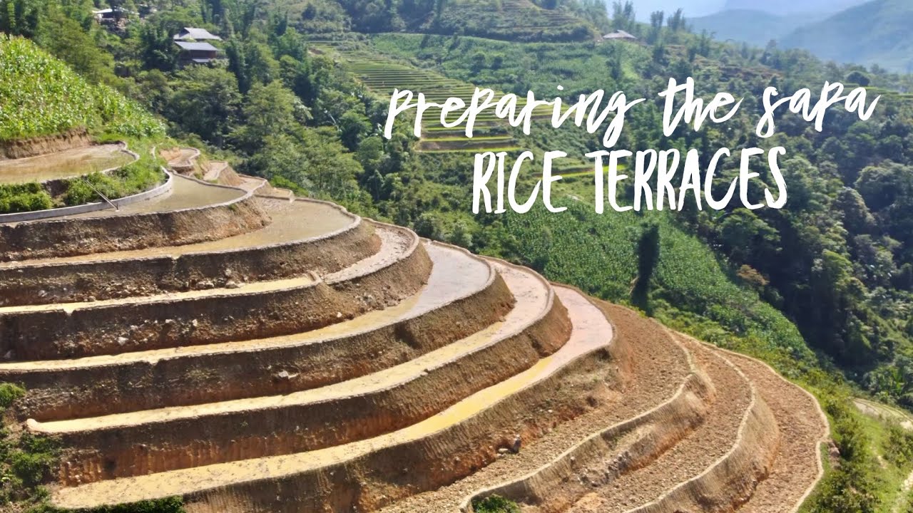 Preparing the Sapa Rice Terraces - YouTube