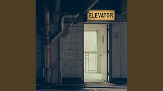 Swanky Elevators