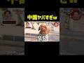 中国の犬の名前 #月曜から夜更かし #マツコ #爆笑