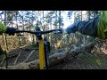 MTB Black Forest / Schwarzwald / 250126