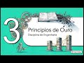Implementação: Lógica Principal do Programa em Rust/Anchor — Forge College