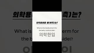 한번 맞춰봐
