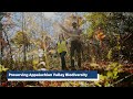 Preserving Appalachian Valley Biodiversity