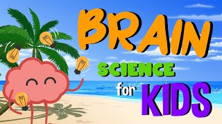 Brain | Science for Kids