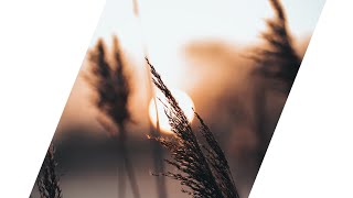 Dawns & Mike Archangelo - Another You (Lyrics)