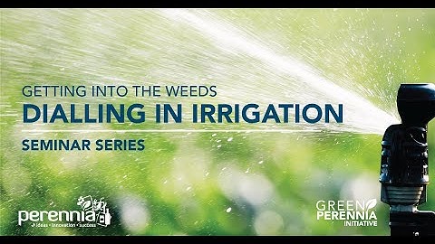 Getting into the Weeds: Making the Switch to Soilless Substrate