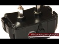 Rechargeable Dog Training Shock Collar Review Rechargeable Dog Training Shock Collar Review