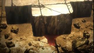 Ceasarrrrrrrrrrrrrrrrr