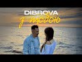 Dibrova    official