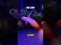 Weird and wonderful creatures 💕 #saltwatertank #reeftank #marinetank #saltwaterfish