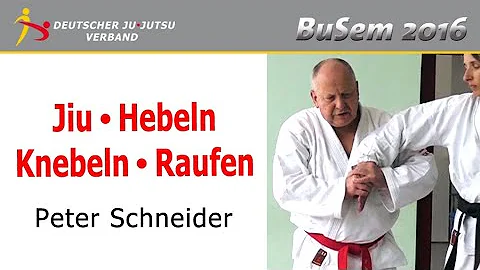 Jiu-Jitsu / Hebeln-Knebeln-R...  / Peter Schneider