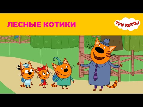 Три кота | Сезон 3 | Лесные котики