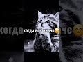 я такой печалик