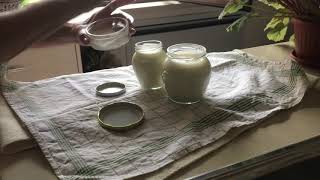 Making traditional Bulgarian yoghurt