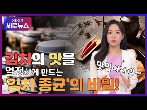 [위킴, 세로 뉴스] 일반 가정도 김치 종균을 받아서 김장할 수 있을까요?