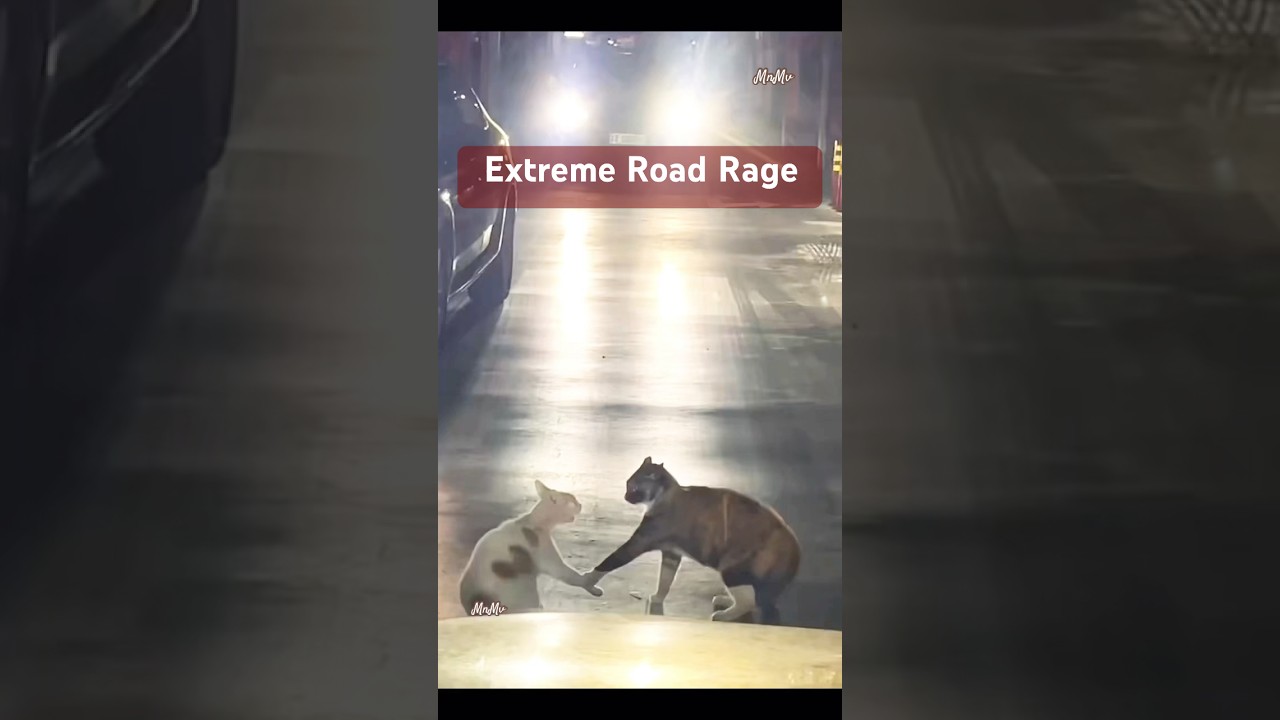 Extreme Road Rage 