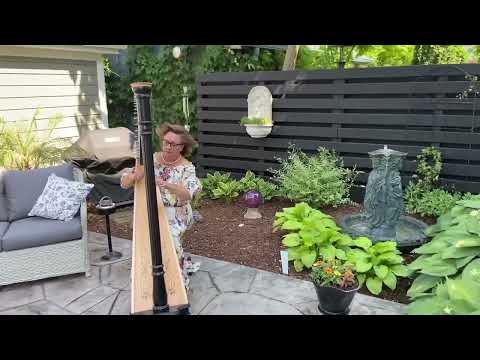 Harpist Trish Boril 🎶| 2021 🌼Garden Walk, Frankfort, Illinois 🌷| Evilena's Red Dresser 💐