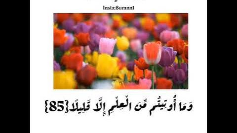 سورة الإسراء..وَيَسْأَلُونَكَ عَنِ الرُّوحِ ۖ 🤍  ستوري