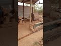 Local Crusher For Gold Mining Kahama Tanzania 