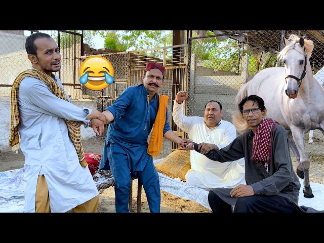 Tasleem Abbas New Comedy Show || Horse Funny video ⁩