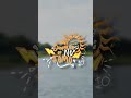 What Has Surfing Taught You? Ben Bourgeois