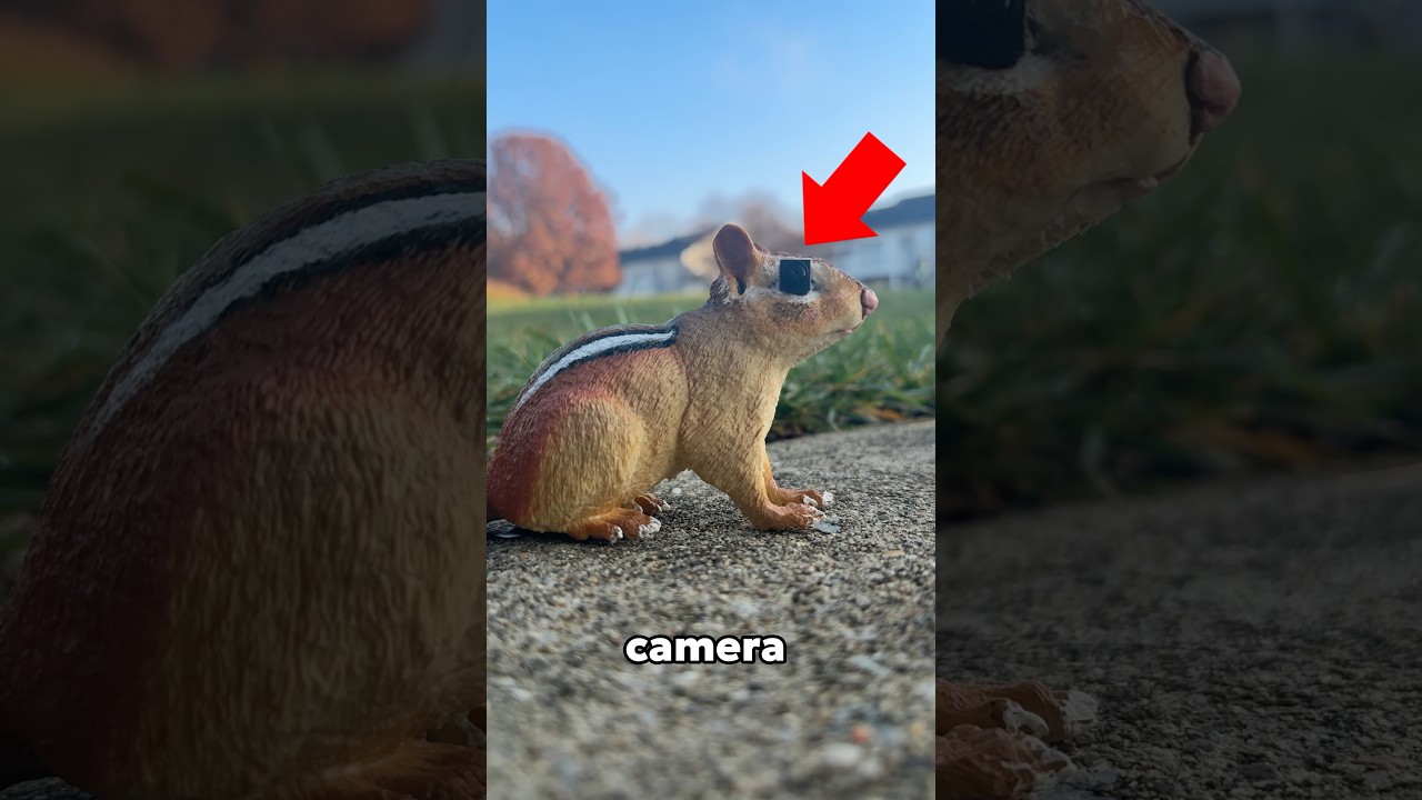 I made a spy chipmunk 🐿️