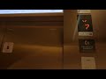2 OTIS (Sigma) Elevators at Shinsegae Department Store - Yeongdeungpo, Seoul, South Korea