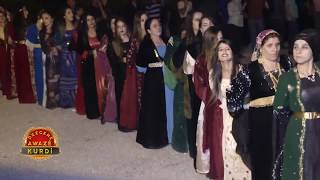Pervari Düğünleri.. Muhteşem Hakkari Düğünü Şexaniya Oremarya Hozan Fikret