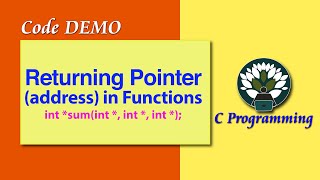 12D Returning Pointer (address) in Functions Code DEMO Profile